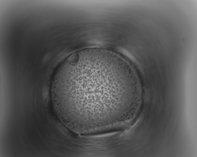 X0000089741259200706281601