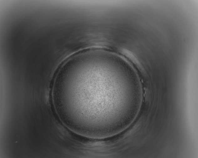 X0000089741260200706281601