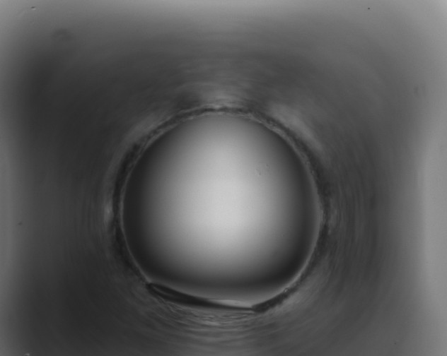 X0000089741261200706281601