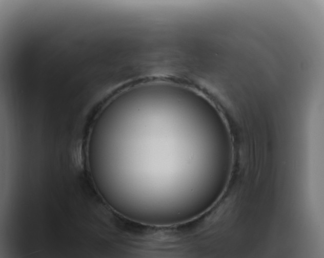 X0000089741262200706281601