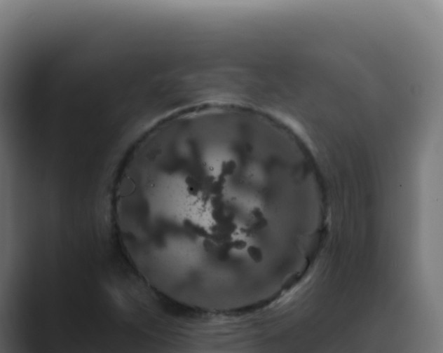 X0000089741263200706281601