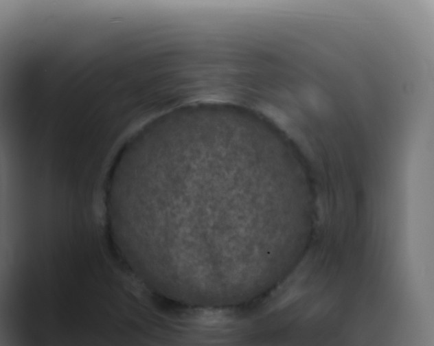 X0000089741266200706281601