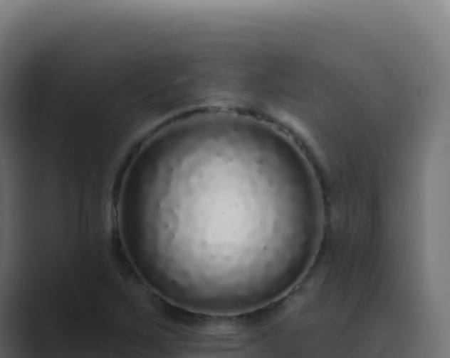 X0000089741267200706281601