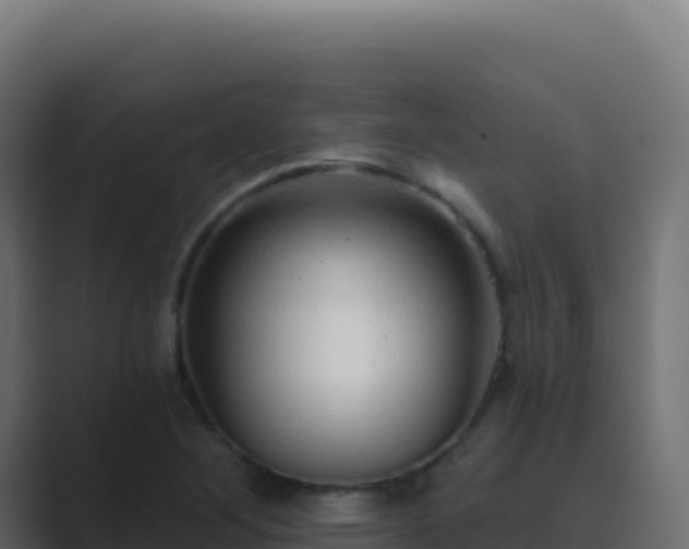 X0000089741268200706281600