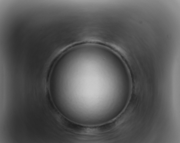 X0000089741271200706281600