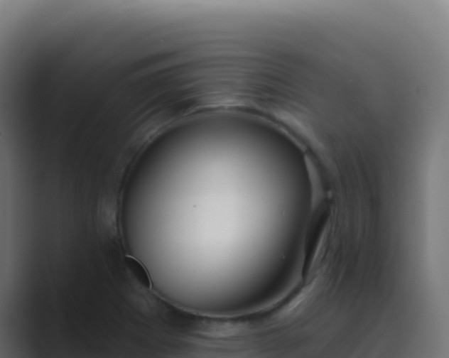 X0000089741273200706281600