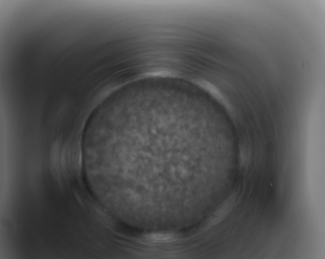 X0000089741274200706281600