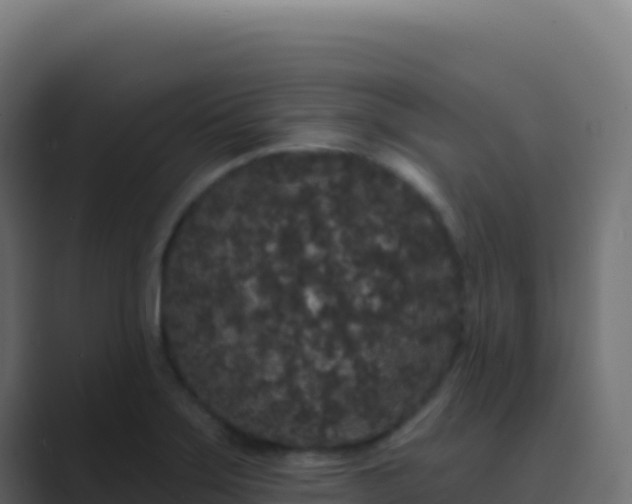 X0000089741275200706281600