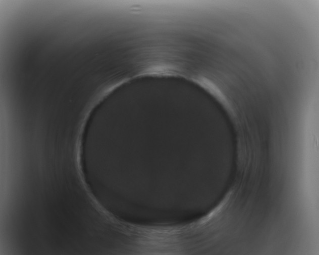 X0000089741277200706281600