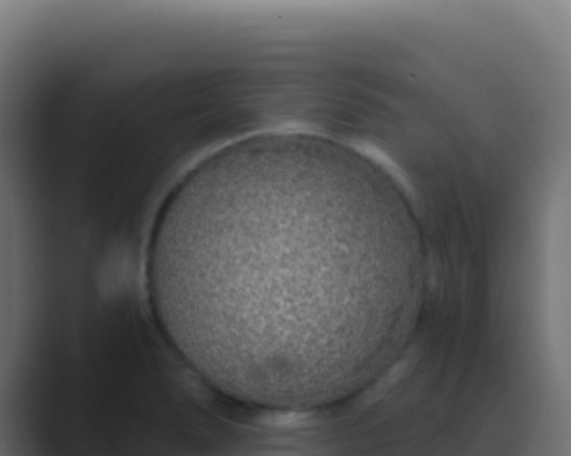 X0000089741278200706281600