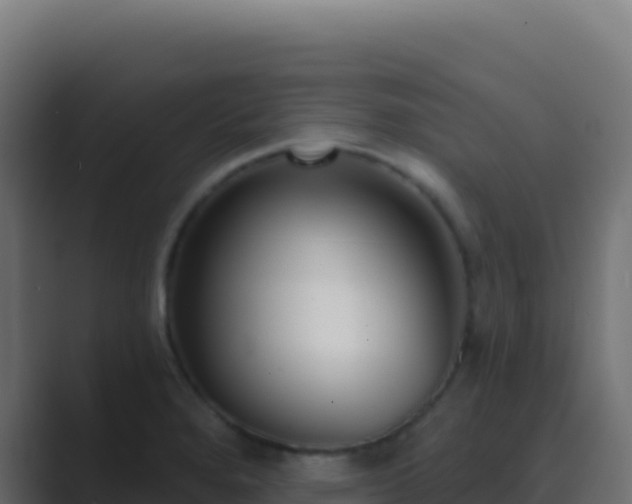 X0000089741280200706281600