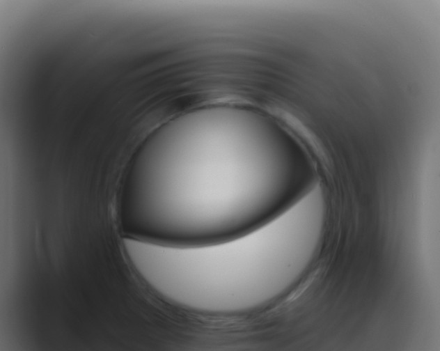 X0000089741281200706281600