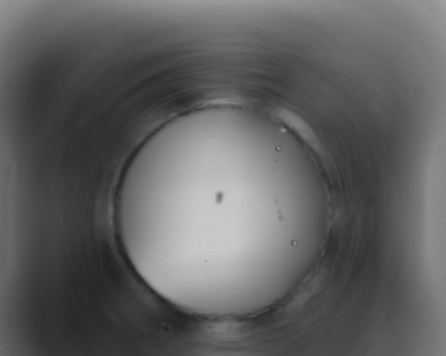 X0000089741282200706281600