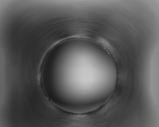 X0000089741284200706281600