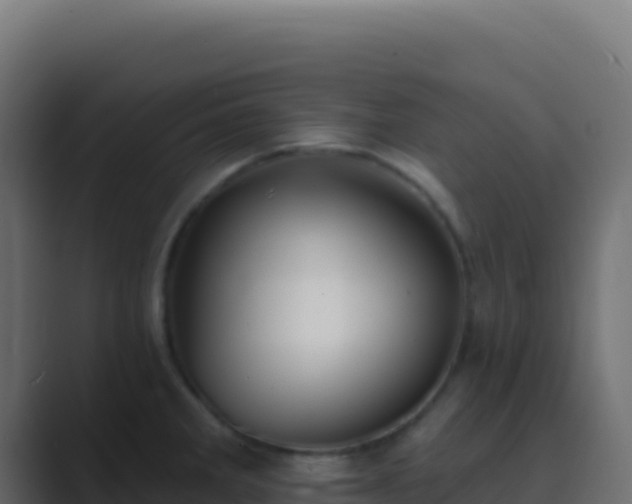 X0000089741285200706281600
