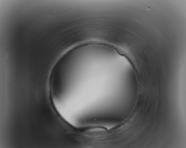 X0000089741287200706281600