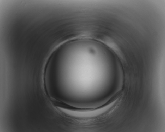 X0000089741288200706281600