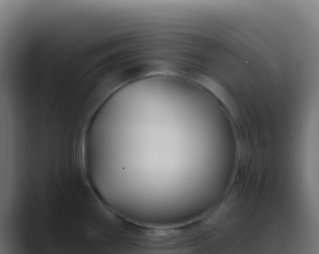 X0000089741290200706281600