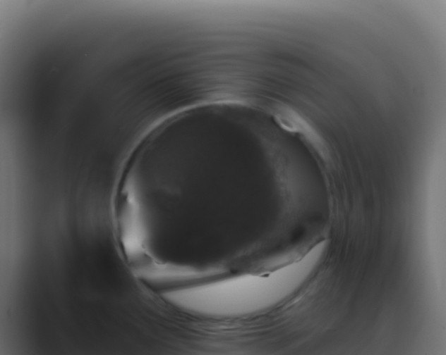 X0000089741291200706281600
