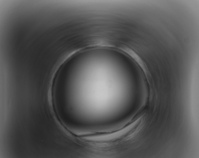X0000089741293200706281600