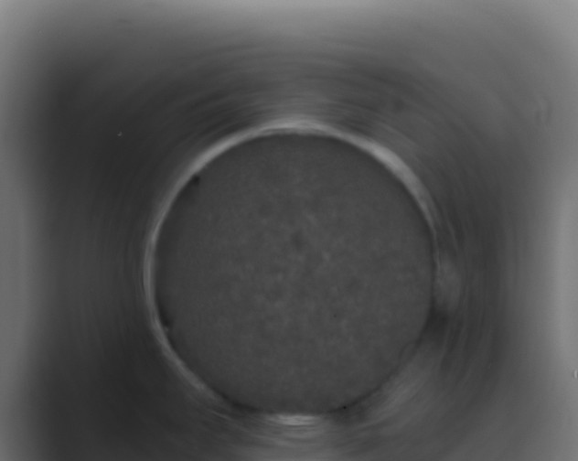 X0000089741295200706281600