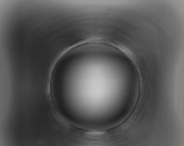 X0000089741296200706281600