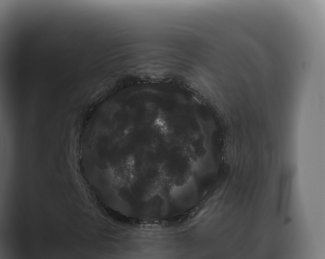 X0000089741297200706281600