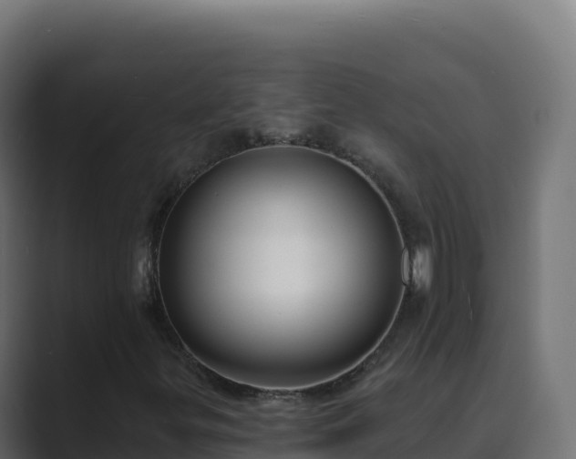 X0000089741299200706281600
