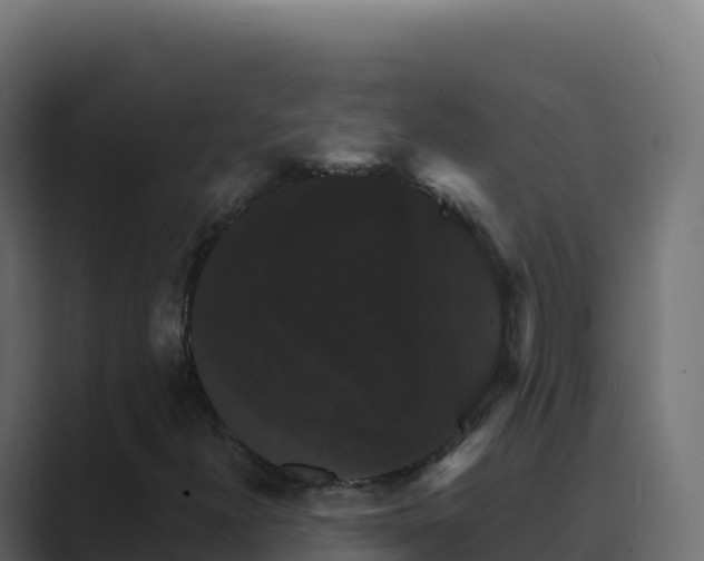 X0000089741300200706281600