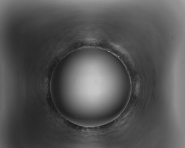 X0000089741301200706281600