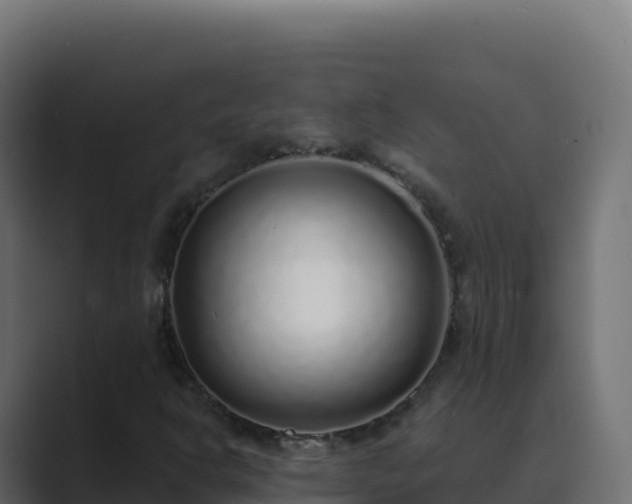 X0000089741302200706281600
