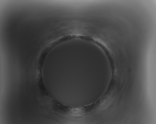 X0000089741303200706281600