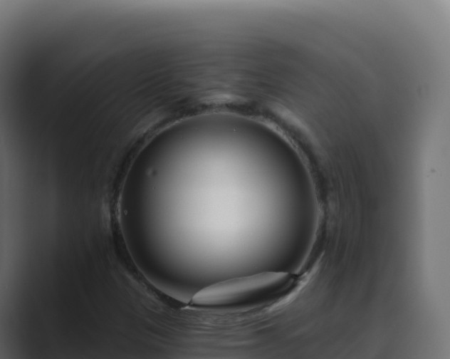 X0000089741305200706281600