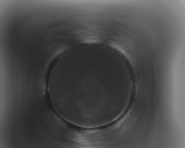X0000089741306200706281600
