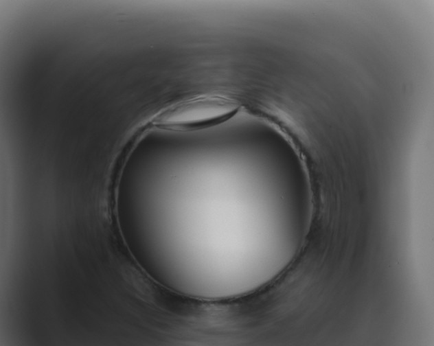 X0000089741308200706281600