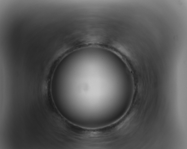 X0000089741309200706281600