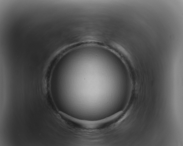 X0000089741310200706281600