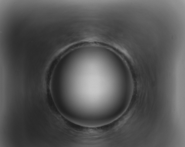 X0000089741311200706281600