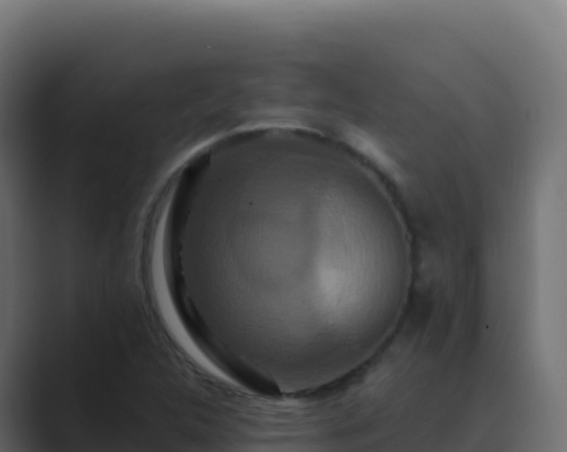 X0000089741312200706281600