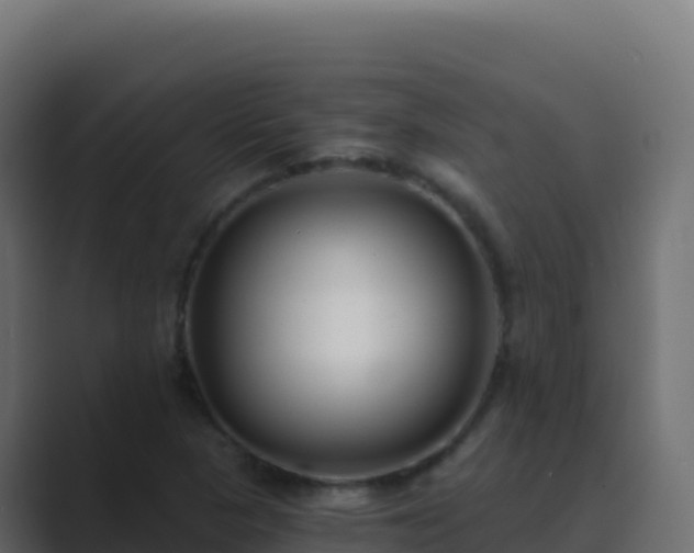 X0000089741313200706281600
