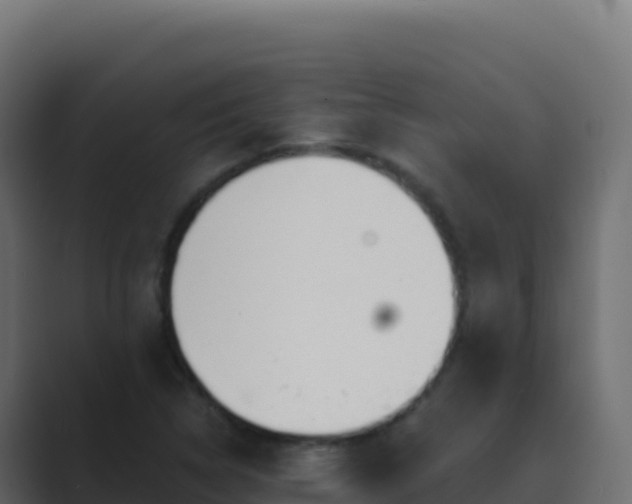 X0000089741314200706281600