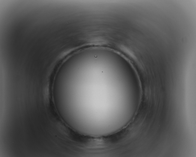 X0000089741315200706281600