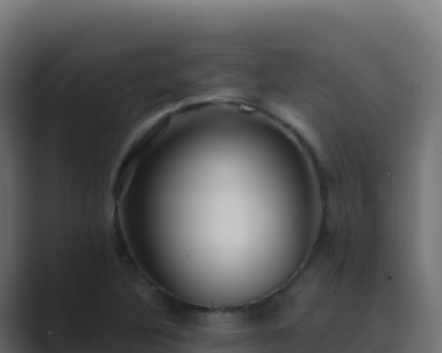 X0000089741316200706281600
