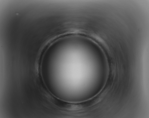 X0000089741318200706281600