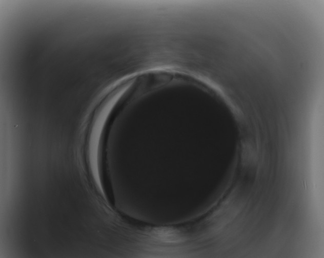 X0000089741319200706281600