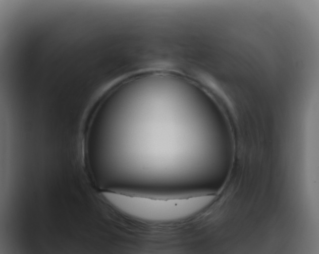 X0000089741320200706281600