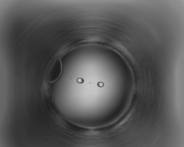 X0000089741321200706281600