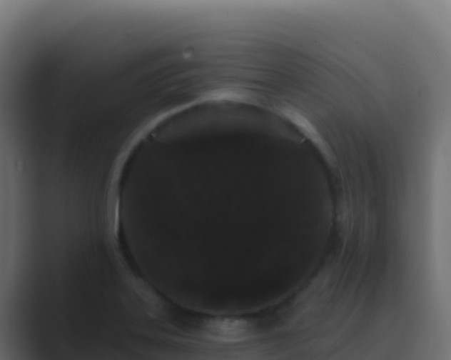 X0000089741323200706281600