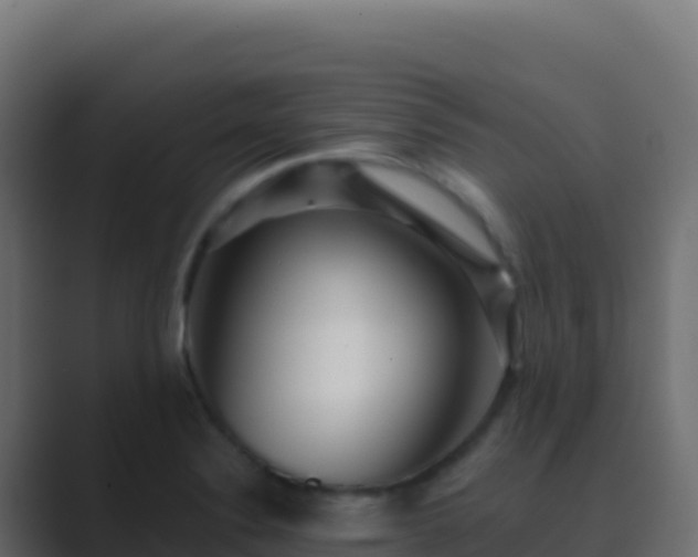 X0000089741324200706281600