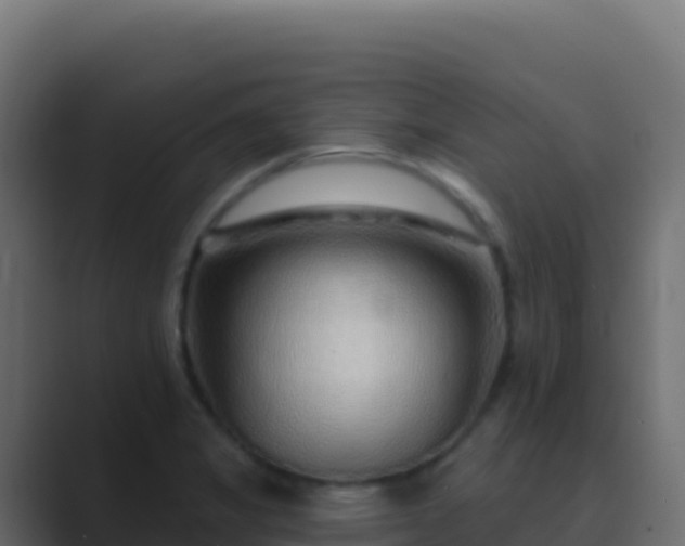 X0000089741325200706281600